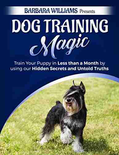 Dog Training Magic JK Brandon