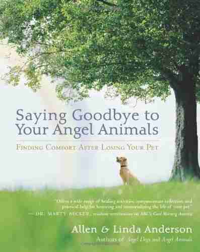 Saying Goodbye To Your Angel Animals: Finding Comfort After Losing Your Pet