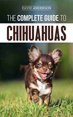 The Complete Guide To Chihuahuas: Finding Raising Training Protecting And Loving Your New Chihuahua Puppy