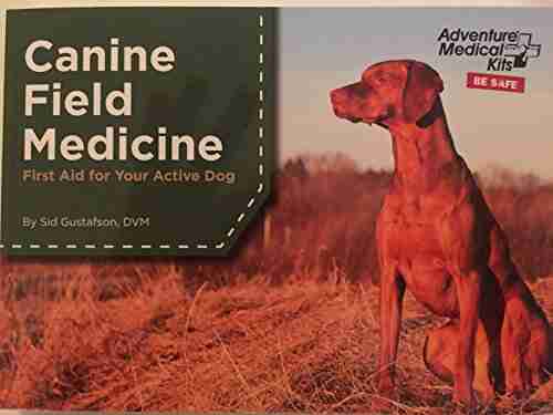 Canine Field Medicine: First Aid for Your Active Dog