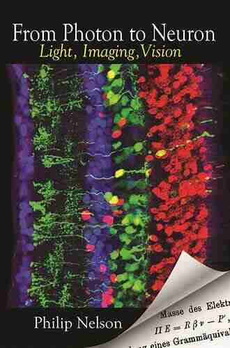 From Photon To Neuron: Light Imaging Vision