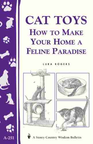 Cat Toys: How To Make Your Home A Feline Paradise/Storey S Country Wisdom Bulletin A 251 (Storey Country Wisdom Bulletin)