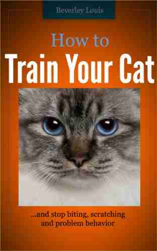 How to Train Your Cat and Stop Biting Scratching and Problem Behavior