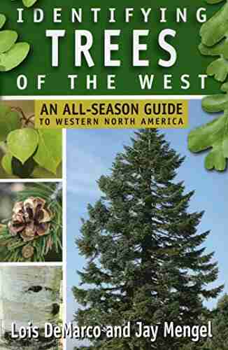 Identifying Trees of the West: An All Season Guide to Western North America