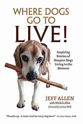 Where Dogs Go To LIVE : Inspiring Stories Of Hospice Dogs Living In The Moment