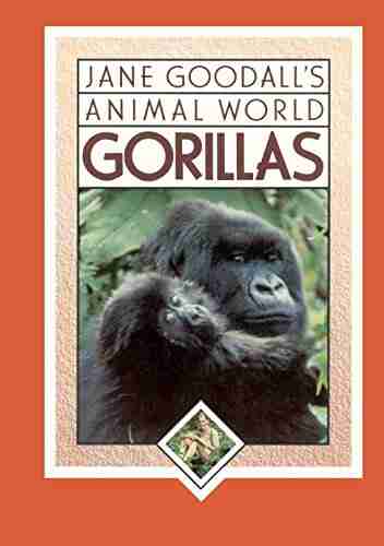 Jane Goodall S Animal World Gorillas