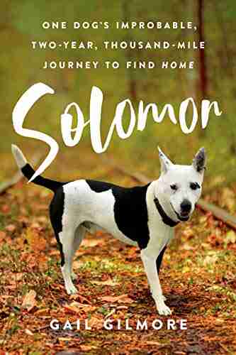 Solomon: One Dog s Improbable Two year Thousand mile Journey to Find Home