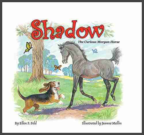 Shadow: The Curious Morgan Horse