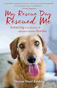 My Rescue Dog Rescued Me: Amazing True Stories Of Adopted Canine Heroes