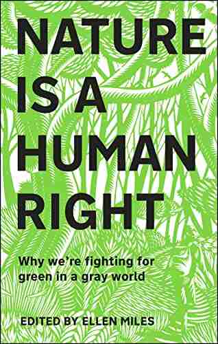 Nature Is A Human Right: Why We Re Fighting For Green In A Grey World