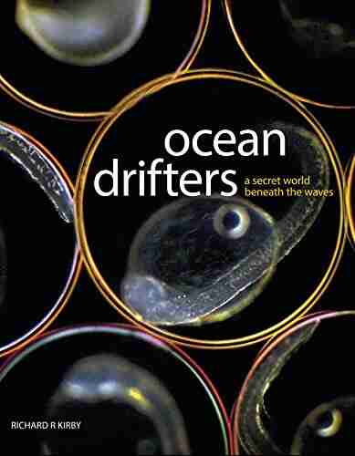 Ocean Drifters a secret world beneath the waves