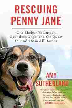 Rescuing Penny Jane: One Shelter Volunteer Countless Dogs and the Quest to Find Them All Homes