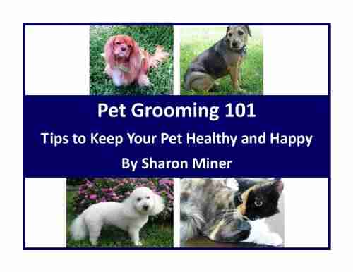 Pet Grooming 101 Tips to Keep Your Pet Healthy and Happy