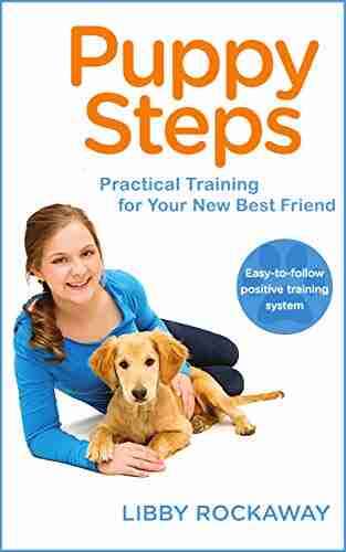 Puppy Steps: Practical Training For Your New Best Friend