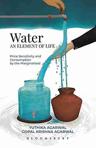 Water an Element of Life: Price Sensitivity and Consumption by Marginalised