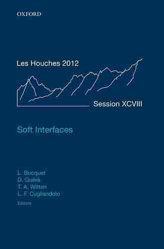 Quantum Theory from Small to Large Scales: Lecture Notes of the Les Houches Summer School: Volume 95 August 2010