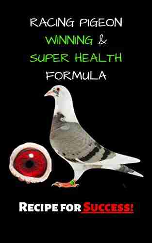 Racing Pigeon Winning And Super Health Formula