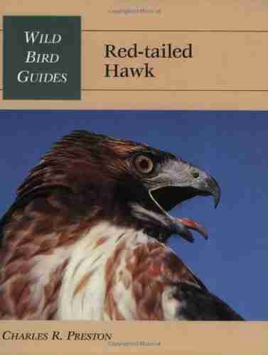 Wild Bird Guide: Red Tailed Hawk (Wild Bird Guides)