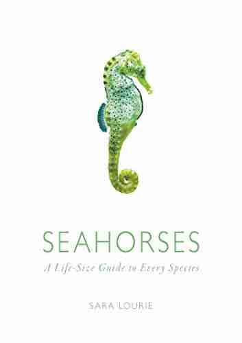 Seahorses: A Life Size Guide to Every Species