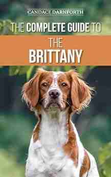 The Complete Guide To The Brittany: Selecting Preparing For Feeding Socializing Commands Field Work Training And Loving Your New Brittany Spaniel Puppy