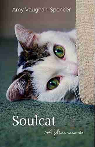 Soulcat: A feline memoir Amy Vaughan Spencer