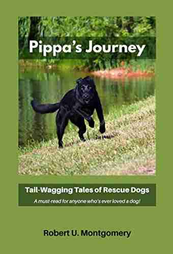 Pippa s Journey: Tail Wagging Tales of Rescue Dogs