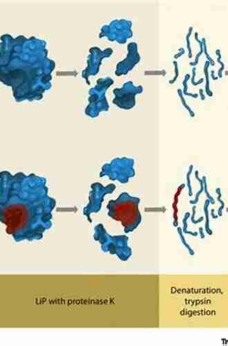 Targeting Protein Protein Interactions By Small Molecules