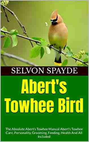 Abert S Towhee Bird : The Absolute Abert S Towhee Manual Abert S Towhee Care Personality Grooming Feeding Health And All Included