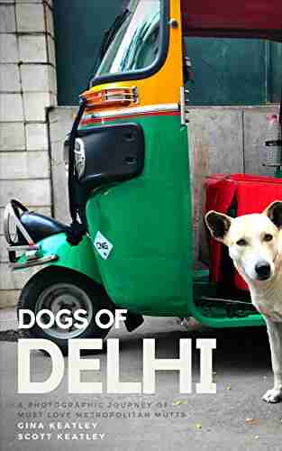 Dogs Of Delhi: A Photographic Journey Of Must Love Metropolitan Mutts