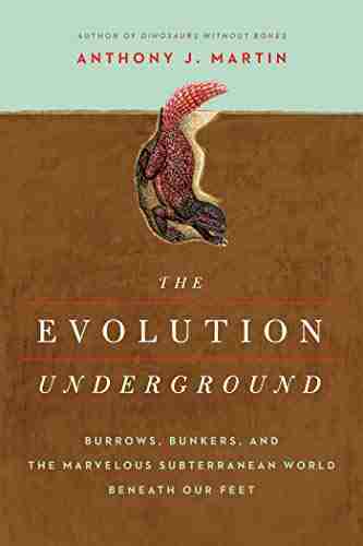 The Evolution Underground Anthony J Martin