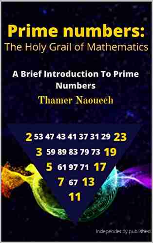 Prime Numbers: The Holy Grail Of Mathematics: A brief introduction to prime numbers