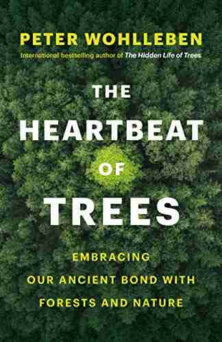 The Heartbeat Of Trees: Embracing Our Ancient Bond With Forests And Nature