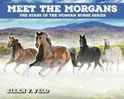 Meet The Morgans: The Stars of the Morgan Horse