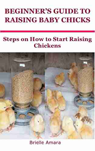 BEGINNER S GUIDE TO RAISING BABY CHICKS: Steps on How to Start Raising Chickens