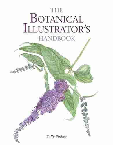 Botanical Illustrator S Handbook Sally Pinhey