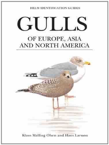 Gulls of Europe Asia and North America (Helm Identification Guides)