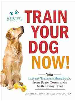 Train Your Dog Now : Your Instant Training Handbook from Basic Commands to Behavior Fixes