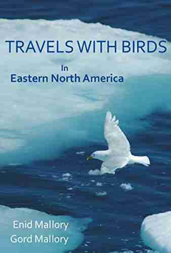 TRAVELS WITH BIRDS: In Eastern North America