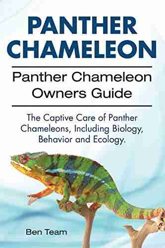 Panther Chameleon Owners Guide Including Panther Chameleons Biology Ecology And Behavior The Captive Care Of Panther Chameleons