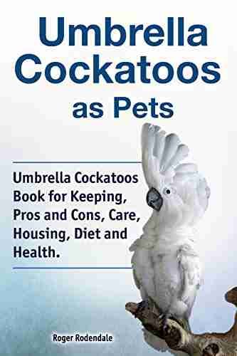 Umbrella Cockatoos As Pets Umbrella Cockatoos For Keeping Pros And Cons Care Housing Diet And Health