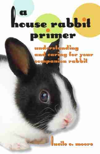 A House Rabbit Primer: Understanding And Caring For Your Companion Rabbit