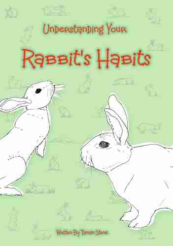 Understanding Your Rabbit S Habits Tamsin Stone