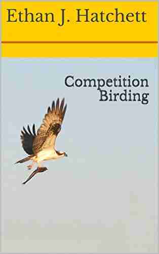 Competition Birding S M Amadae