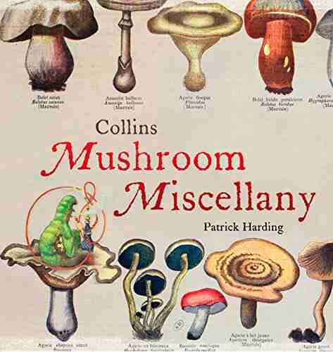 Collins Mushroom Miscellany Emma Woods