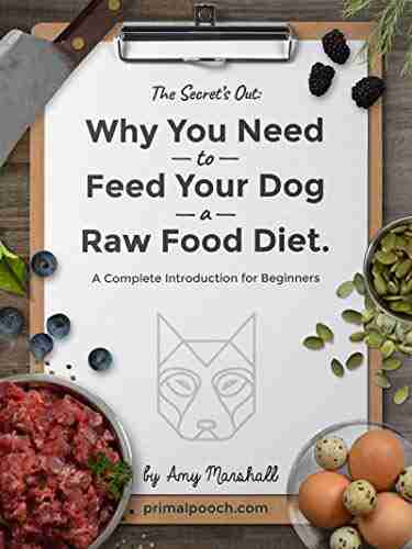 Why You NEED to Feed Your Dog a Raw Food Diet: A Complete Introduction for Beginners